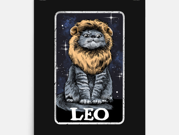 Leo Cat