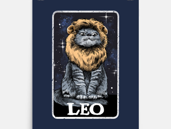 Leo Cat