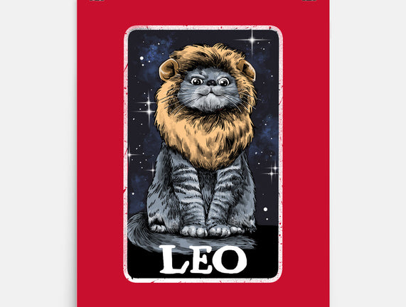 Leo Cat