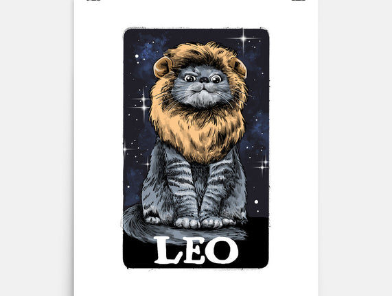 Leo Cat