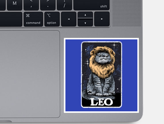 Leo Cat