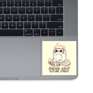 Stressed About Future Stress