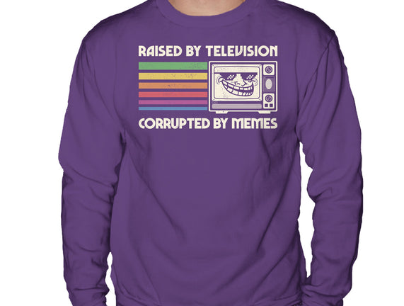 Raised By TV Corrupted By Memes