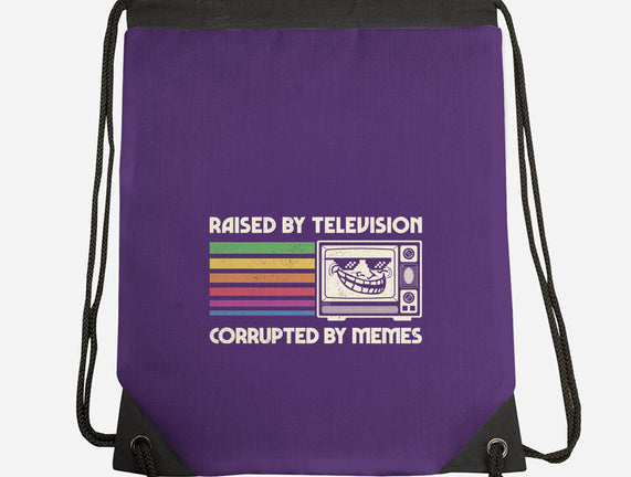 Raised By TV Corrupted By Memes