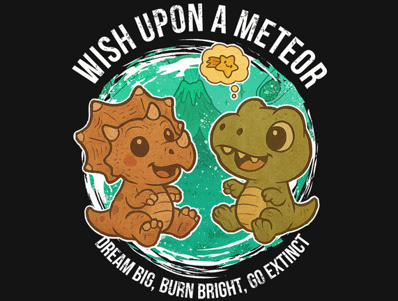Wishing Upon A Meteor