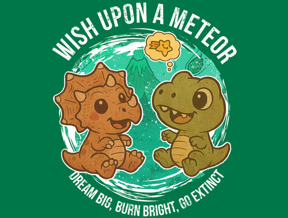 Wishing Upon A Meteor