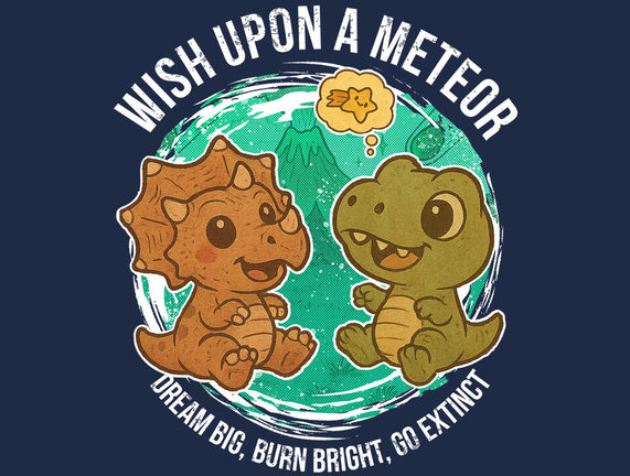 Wishing Upon A Meteor
