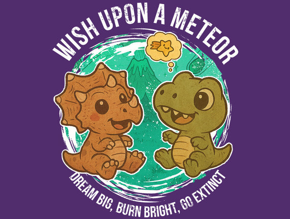 Wishing Upon A Meteor