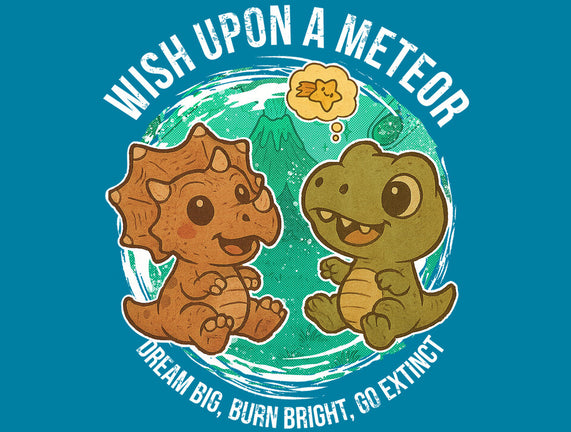 Wishing Upon A Meteor