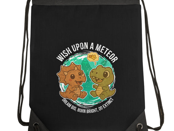 Wishing Upon A Meteor