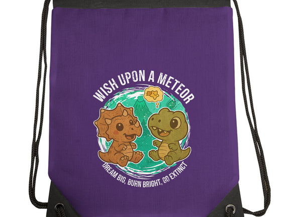 Wishing Upon A Meteor