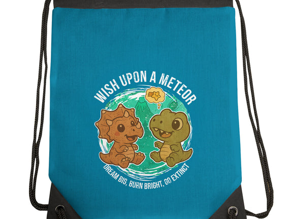 Wishing Upon A Meteor