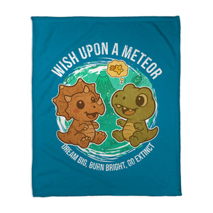 Wishing Upon A Meteor