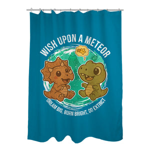 Wishing Upon A Meteor
