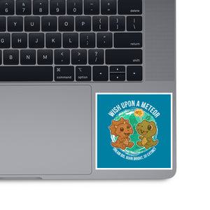 Wishing Upon A Meteor