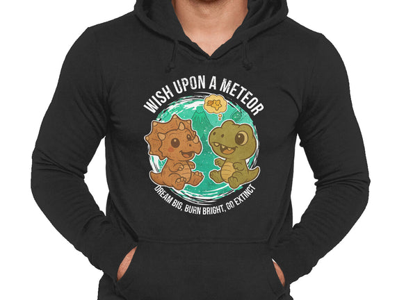 Wishing Upon A Meteor
