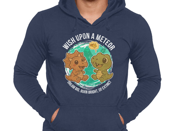 Wishing Upon A Meteor
