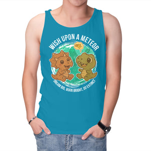 Wishing Upon A Meteor