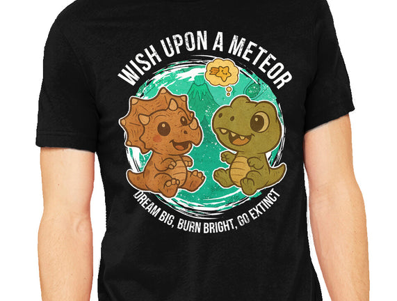 Wishing Upon A Meteor