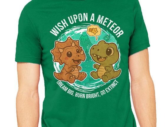 Wishing Upon A Meteor