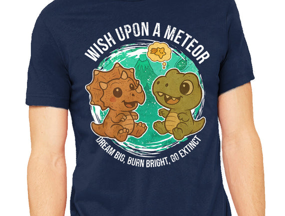 Wishing Upon A Meteor