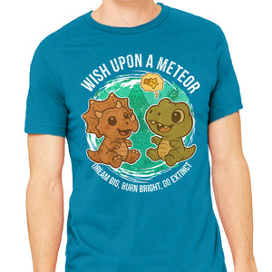 Wishing Upon A Meteor