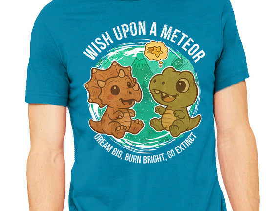Wishing Upon A Meteor