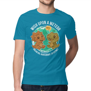 Wishing Upon A Meteor