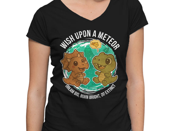 Wishing Upon A Meteor