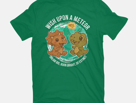 Wishing Upon A Meteor