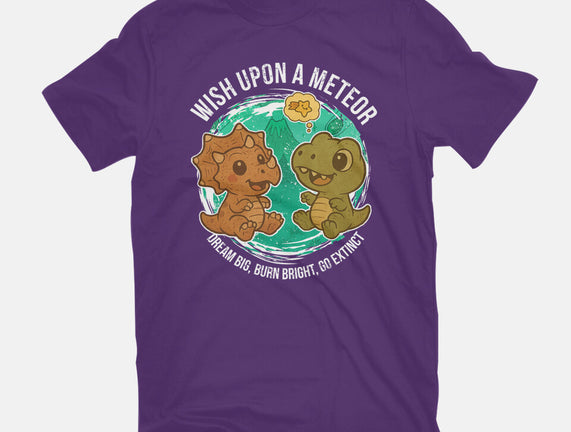 Wishing Upon A Meteor