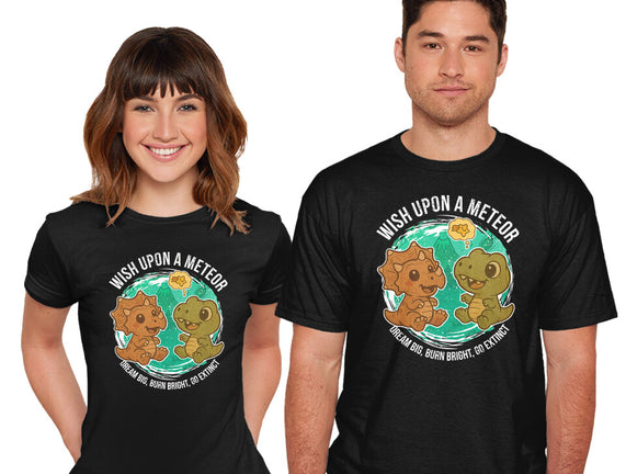 Wishing Upon A Meteor