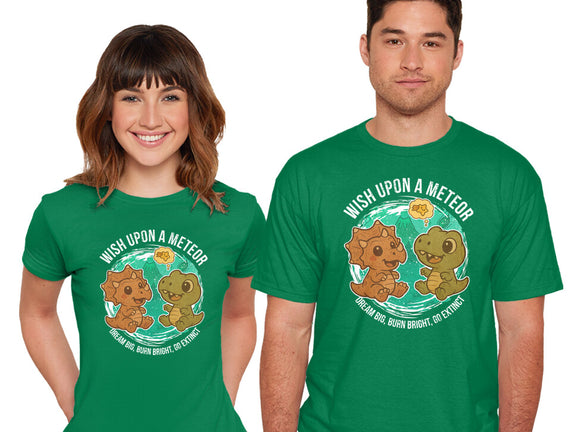 Wishing Upon A Meteor