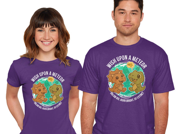 Wishing Upon A Meteor