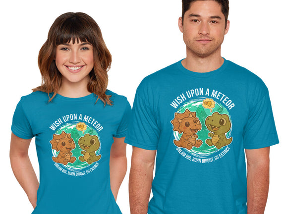 Wishing Upon A Meteor
