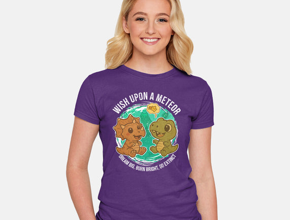 Wishing Upon A Meteor