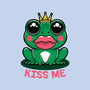 Kiss Me-Mens-Premium-Tee-fanfreak1