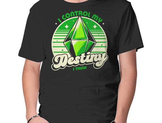 Video Game Destiny