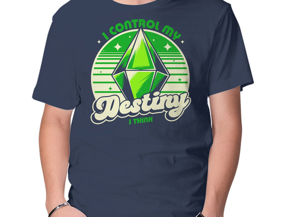 Video Game Destiny