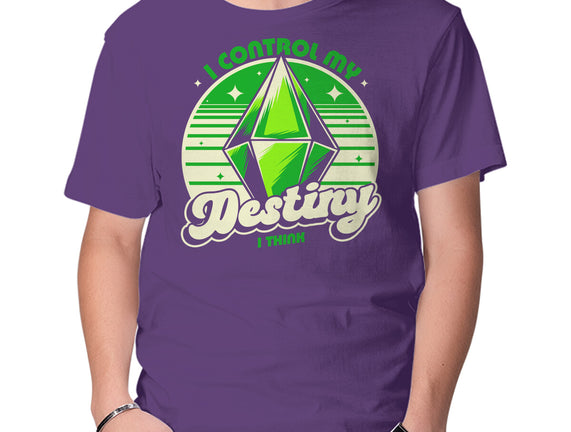 Video Game Destiny