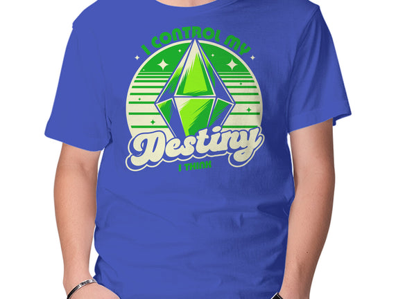 Video Game Destiny
