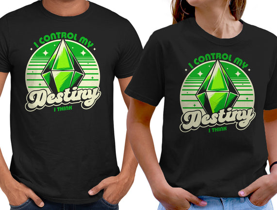Video Game Destiny