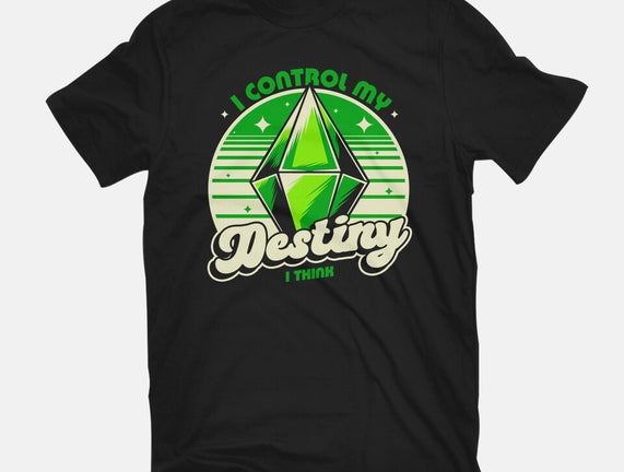 Video Game Destiny