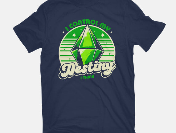 Video Game Destiny