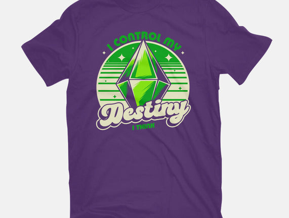 Video Game Destiny