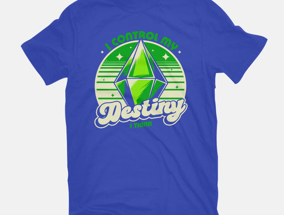 Video Game Destiny