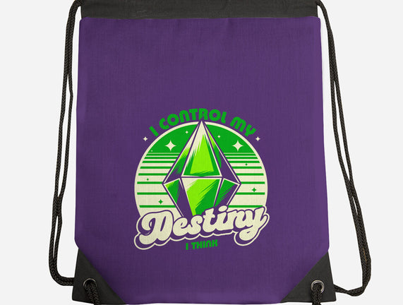 Video Game Destiny