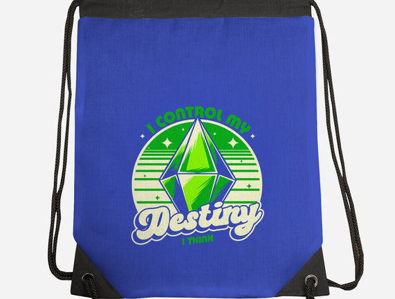 Video Game Destiny