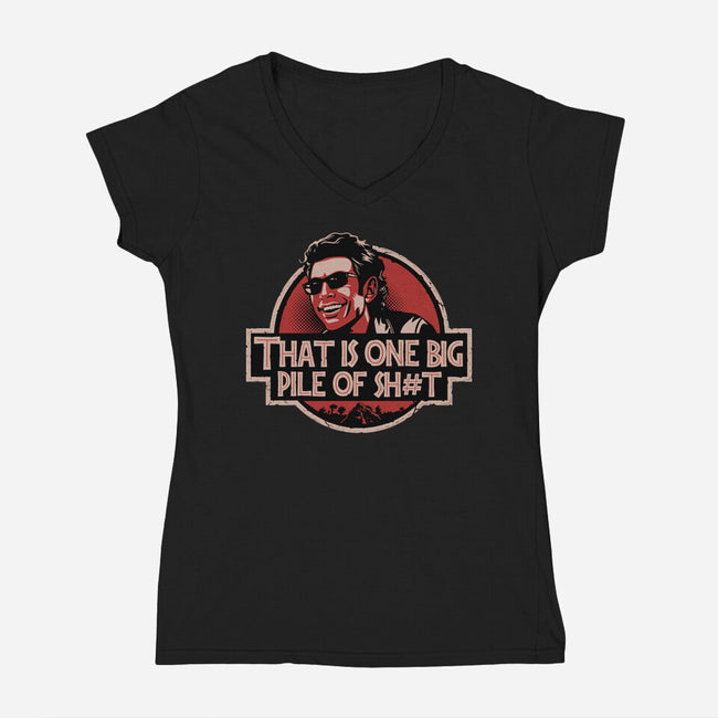 Big Pile Of-Womens-V-Neck-Tee-daobiwan