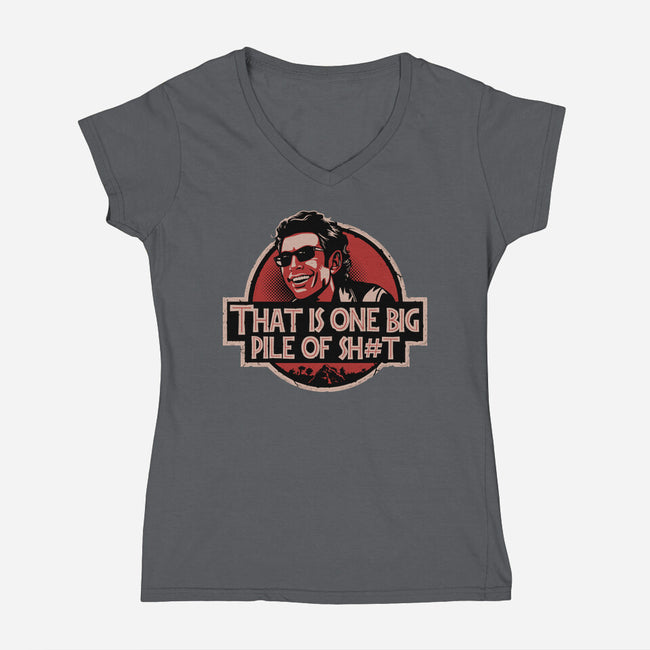 Big Pile Of-Womens-V-Neck-Tee-daobiwan